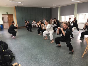 Kurs instruktorski Okinawan Kempo marzec 2017 (10)