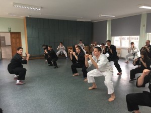 Kurs instruktorski Okinawan Kempo marzec 2017 (11)