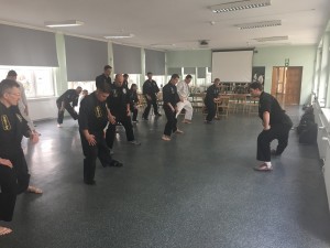 Kurs instruktorski Okinawan Kempo marzec 2017 (22)