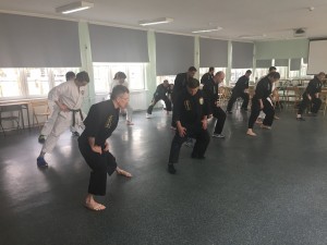 Kurs instruktorski Okinawan Kempo marzec 2017 (23)