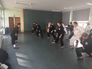 Kurs instruktorski Okinawan Kempo marzec 2017 (24)